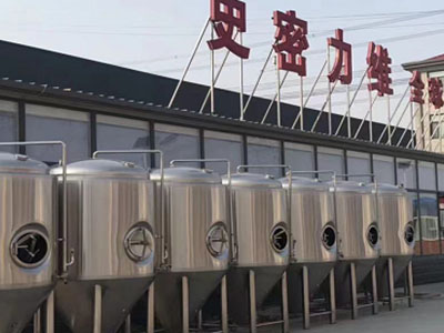 梓潼精酿啤酒设备厂—如何判断精酿啤酒设备的密封件需要更换？
